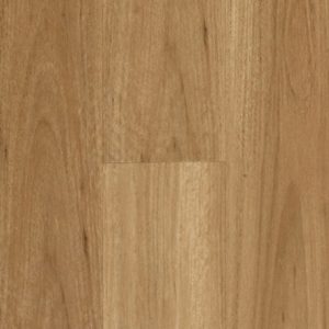 Blackbutt Hydroplank