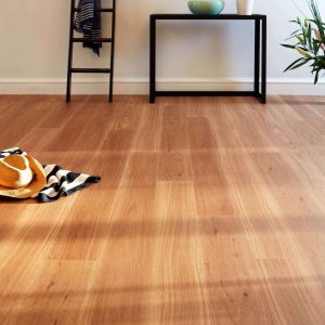 Coastal Blackbutt