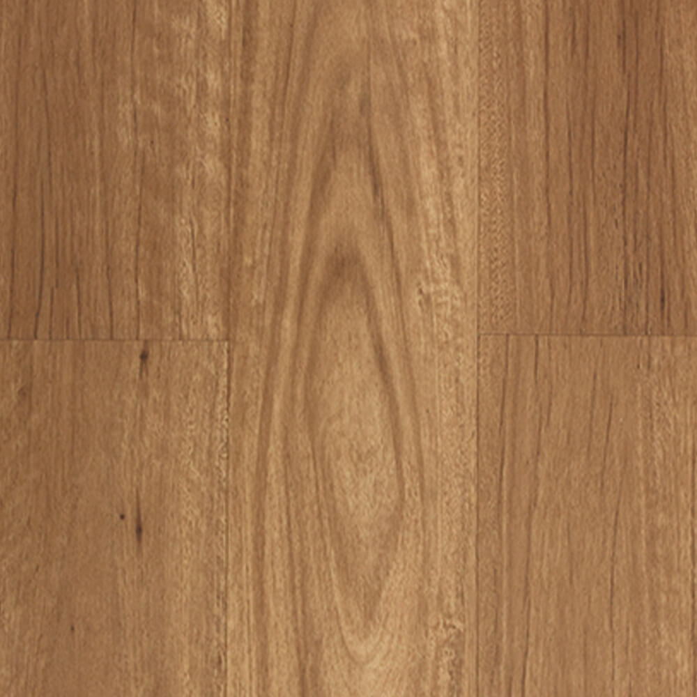 New England Blackbutt - Image 2