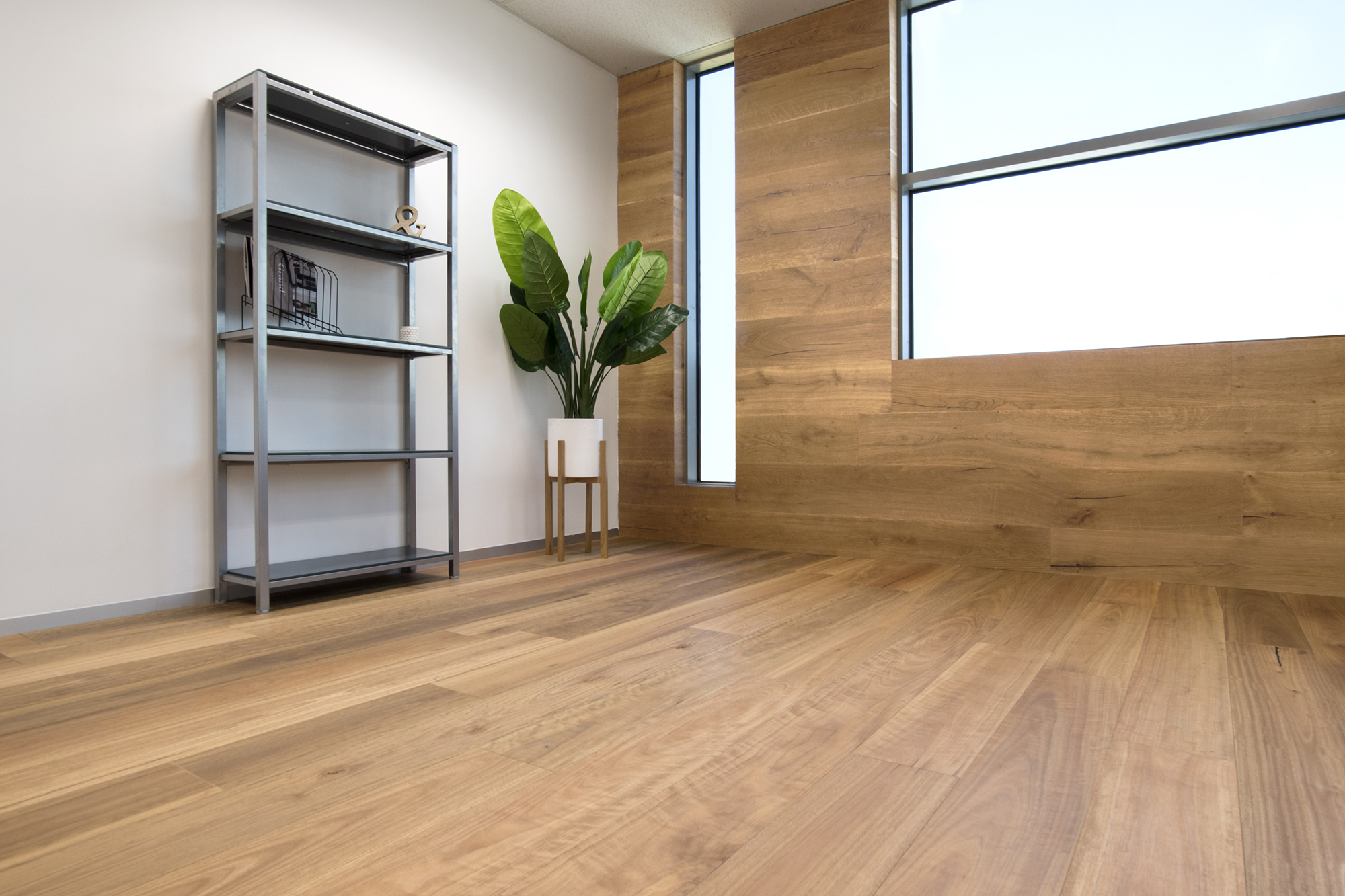 Spotted Gum - Image 2