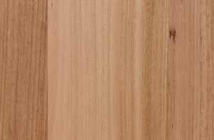 Tasmanian Oak (136mm)
