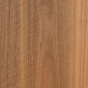 Spotted Gum 180 mm