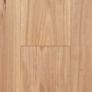 Blackbutt Infinite